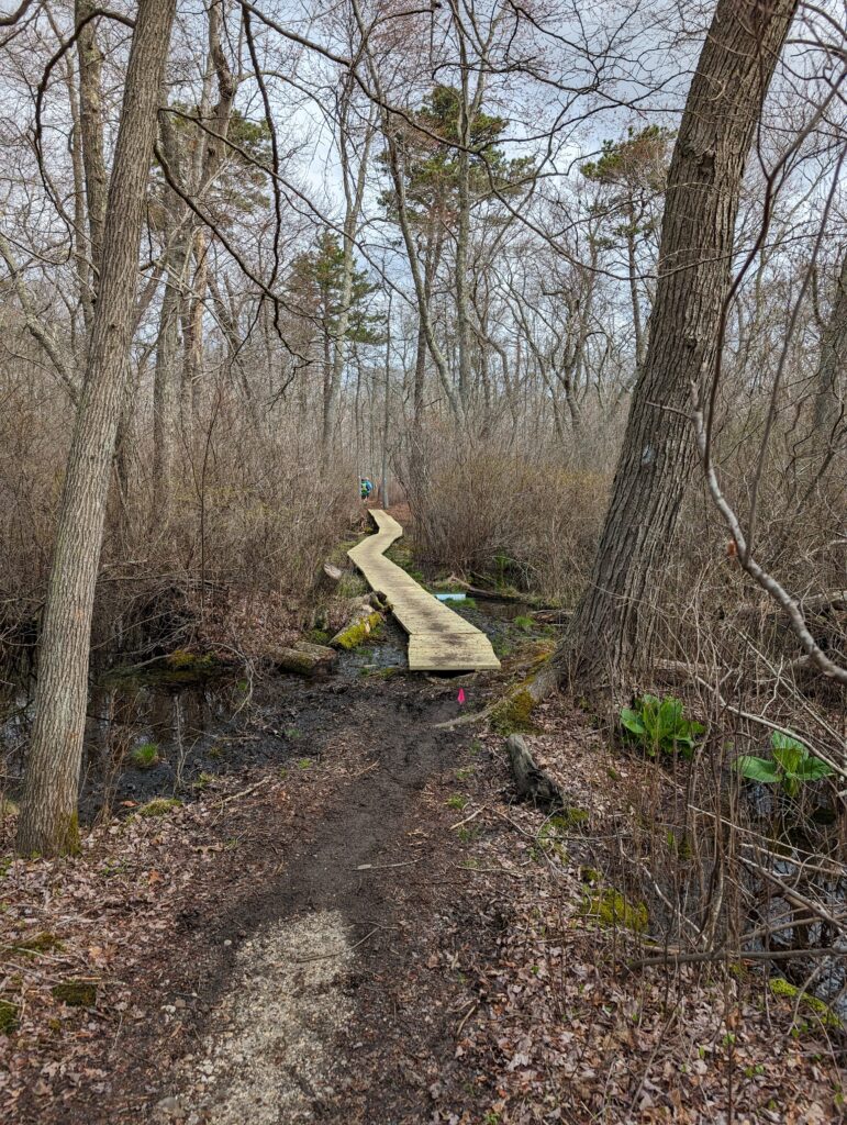 Shore2Shore 50k trail bridge to avoid deep mud over a creek crossing